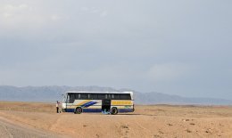 Charyn Bus Tours
